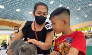 TP Hồ Chí Minh: Gần 600 thú cưng tham gia Ngày hội thú cưng ‘Pet perfect’ năm 2023