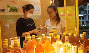 Doanh nhân TP Hồ Chí Minh kỳ vọng môi trường kinh doanh sẽ bứt phá