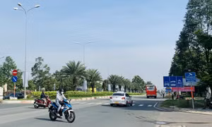TP Hồ Chí Minh: Doanh nghiệp mong muốn được tháo gỡ khó khăn về thủ tục hành chính 