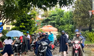 TP Hồ Chí Minh: Mặc nắng mưa, phụ huynh kiên trì chờ con ngoài cổng trường thi lớp 10