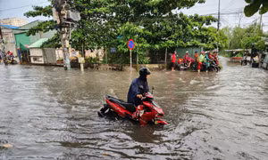 TP Hồ Chí Minh: Ứng phó bão số 13 và triều cường dâng cao