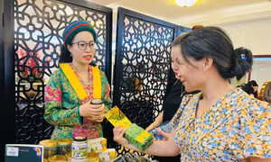 Hà Giang xúc tiến quảng bá du lịch tại TP Hồ Chí Minh