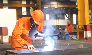 Doanh nghiệp cần lao động, sinh viên ra trường vẫn thất nghiệp