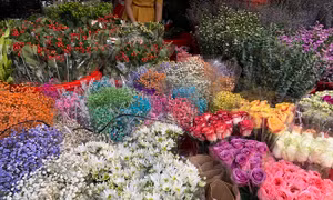 TP Hồ Chí Minh: Nhộn nhịp thị trường cận Ngày nhà giáo Việt Nam 20/11 