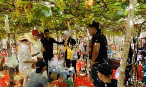 Hà Giang và Ninh Thuận đẩy mạnh xúc tiến, quảng bá du lịch tại TP Hồ Chí Minh