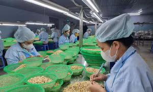 Thương hiệu Việt trước cơ hội và thách thức trong kỷ nguyên số