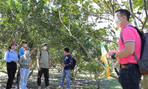 Bài ca sự sống