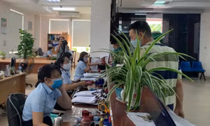 TP Hồ Chí Minh: Sắp xếp hành chính cấp xã tạo thuận lợi tối đa cho người dân và doanh nghiệp