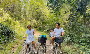 Đồng Nai khai thác thế mạnh du lịch sinh thái và vườn cây ăn trái