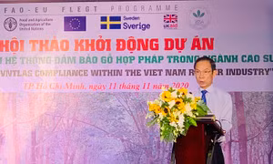 Ngành cao su hướng đến tuân thủ hệ thống đảm bảo gỗ hợp pháp khi xuất khẩu