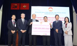 TP Hồ Chí Minh: Tiếp nhận thêm 6,5 tỷ đồng ủng hộ các tỉnh phía Bắc