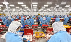 Đưa nông sản Việt vươn xa - Bài cuối: Khơi thông dòng vốn cho nông nghiệp bức phá