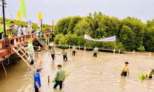 Phát triển thương hiệu du lịch Cà Mau trong tổng thể du lịch quốc gia