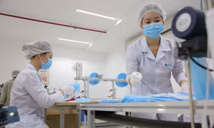 TP Hồ Chí Minh dùng chế tài mạnh để chống thất thu thuế