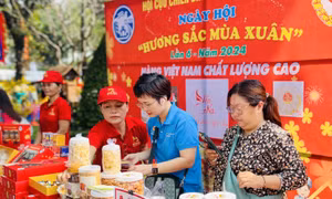 TP Hồ Chí Minh: Nhộn nhịp ngày hội 'Hương sắc mùa xuân' lần 6