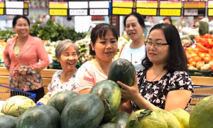 TP Hồ Chí Minh chung tay ‘giải cứu’ nông sản cho nông dân