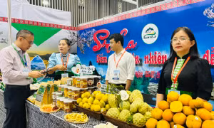 Hơn 2.000 doanh nghiệp mang đặc sản vùng miền tham gia kết nối cung cầu