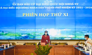 Công tác chuẩn bị cho bầu cử ĐBQH đã hoàn tất tại TP Hồ Chí Minh