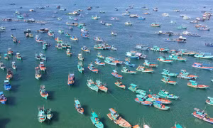 Bị 'hớp hồn' với vẻ đẹp hoang sơ, biển xanh cát trắng tuyệt đẹp của đảo Hòn Thơm