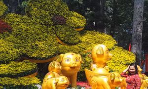 3.000 kì hoa dị thảo hội tụ tại Hội hoa Xuân TP Hồ Chí Minh 2019