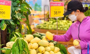 TP Hồ Chí Minh đẩy mạnh tiêu dùng xanh, phát triển kinh tế xanh