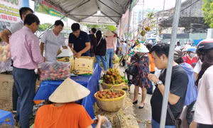 TP Hồ Chí Minh tổ chức tuần lễ trái cây ‘Trên bến dưới thuyền'