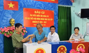 Tỷ lệ cử tri TP Hồ Chí Minh đi bầu cử đạt gần 97%