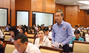 HĐND TP Hồ Chí Minh bàn giải pháp bảo tồn các di sản văn hóa 