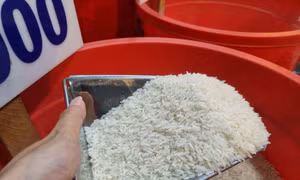 TP Hồ Chí Minh: Saigon Co.op lên tiếng về việc bị cấm thầu 3 năm