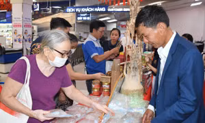 Sản phẩm OCOP Quảng Trị tìm đường vào kênh phân phối hiện đại tại TP Hồ Chí Minh