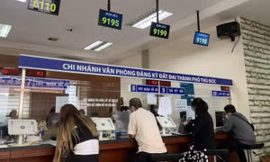 TP Hồ Chí Minh phát động phong trào thi đua dám nghĩ, dám làm trong cán bộ, viên chức