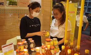 Doanh nghiệp Việt chuyển hướng để đi xa hơn khi xuất khẩu