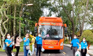 Vai trò của du lịch trong phục hồi toàn diện