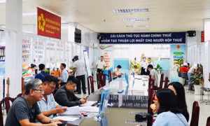 TP Hồ Chí Minh: Rà soát, thống nhất các quy định về tài chính để áp dụng đồng bộ sau sáp nhập