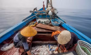 Phát động Cuộc thi thử thách đổi mới sáng tạo Nghề cá