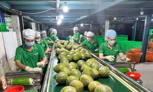 Đưa nông sản Việt vươn xa - Bài 2: Chuyển đổi số và chuyển đổi xanh tạo sức bật mới