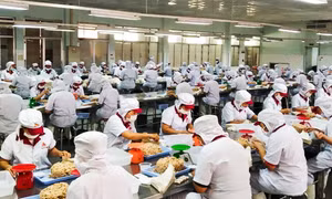 Người lao động phấn khởi trở lại làm việc sau Tết