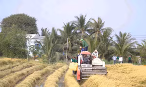 Triển lãm nông nghiệp và chăn nuôi thúc đẩy chuyển giao công nghệ và xuất khẩu bền vững