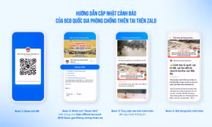 7,5 triệu người nhận cảnh báo mưa lũ, sạt lở đất thông qua Zalo