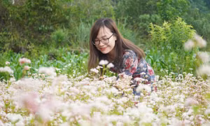 Ngỡ ngàng ngắm hoa Tam giác mạch trái mùa tại Hà Giang