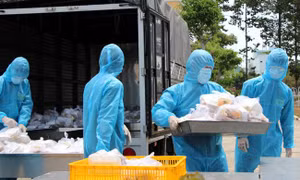 TP Hồ Chí Minh: Sẵn sàng mọi điều kiện tốt nhất để chống dịch COVID-19