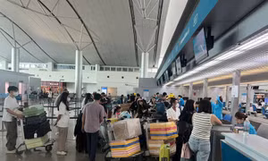 Hàng không, du lịch xoay xở vượt khó