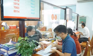 TP Hồ Chí Minh: Nhiều giải pháp ổn định thu nhập cho cán bộ, công chức sau sắp xếp