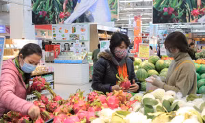 TP Hồ Chí Minh chuẩn bị ba kịch bản ứng phó khẩn cấp với dịch COVID-19