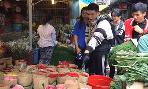 Giá hoa tươi tăng gấp 4 lần cận ngày Nhà giáo Việt Nam 20/11