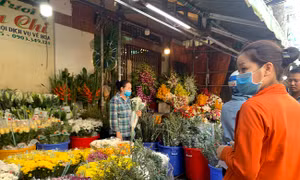 TP Hồ Chí Minh: Hoa tươi, quà tặng đều 'héo hắt' trước ngày 8/3 
