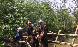 TP Hồ Chí Minh đẩy mạnh liên kết phát triển sản phẩm du lịch ĐBSCL