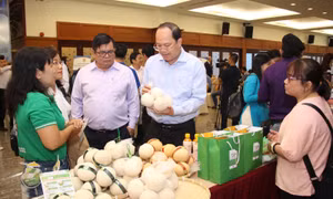TP Hồ Chí Minh: Hàng Việt tiếp tục chiếm ưu thế trên thị trường 
