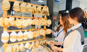 Doanh nghiệp Việt cần hiểu thị trường để xuất khẩu bền vững