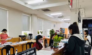 Bảo hiểm xã hội TP Hồ Chí Minh nỗ lực hoàn thành các chỉ tiêu cuối năm